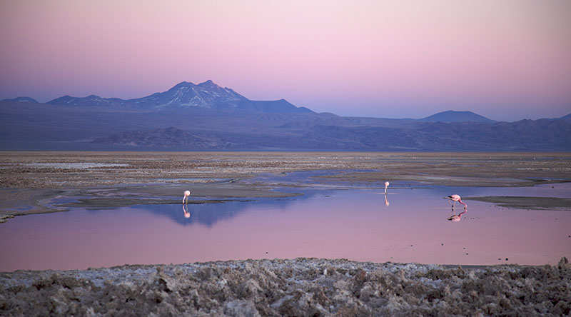 Chile - Atacama