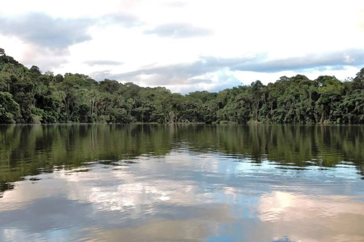 Madidi National Park